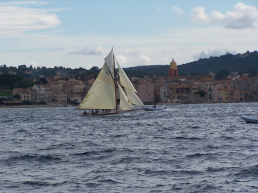 [Immagine: 2009322193823_100_0527a.jpg]